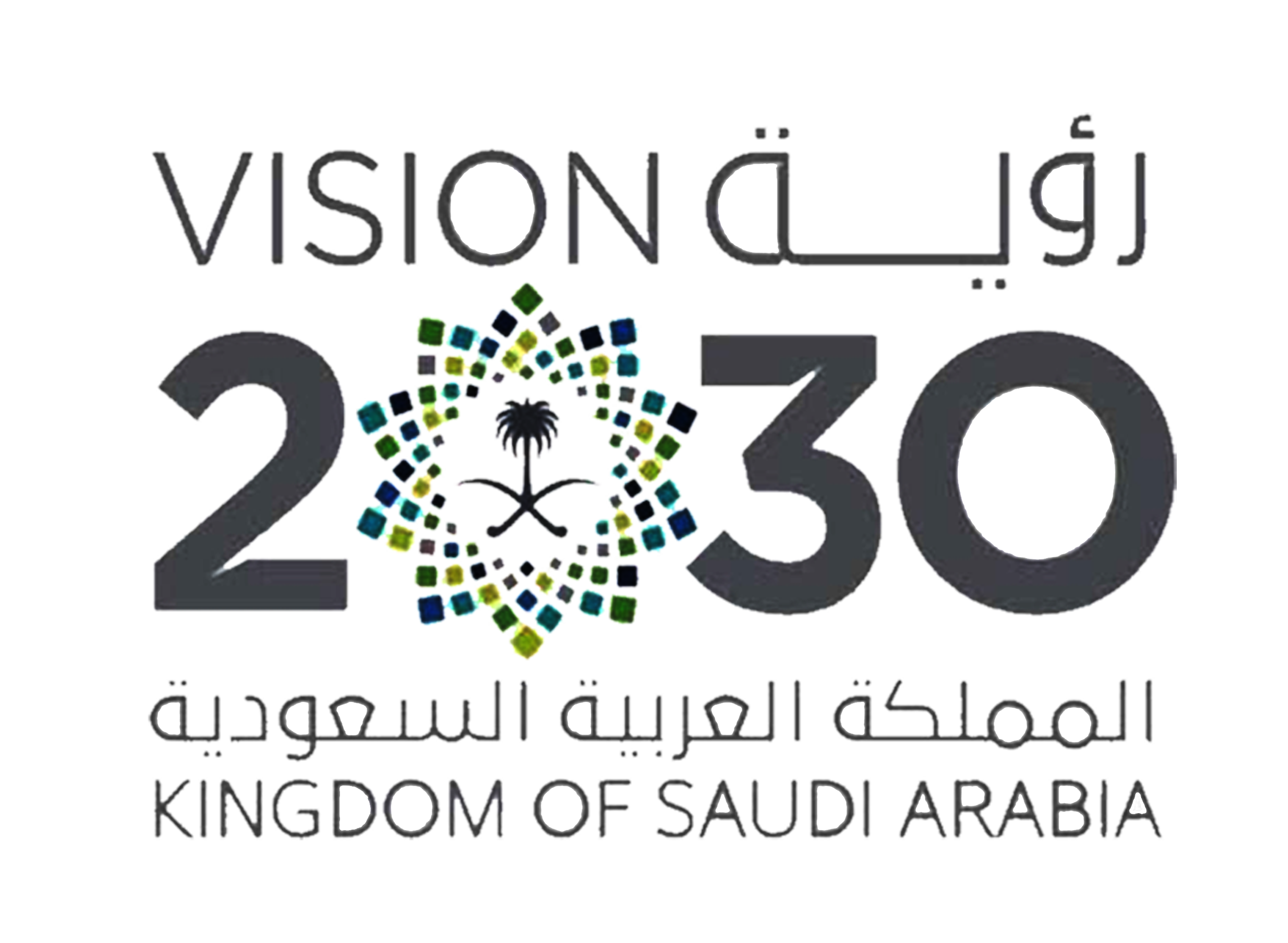 Saudi Vision 2030 Logo